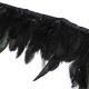 thumbnail image 4 of Ribete de Plumas Erikord 13‑18 cm Negro 5 Yardas (≈4,6 m), 4 of 6