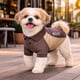thumbnail image 4 of Playera para perro Pet Life ® Active Barko Pawlo de secado rápido para fitness, 4 of 9