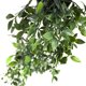 thumbnail image 2 of Planta Artificial Enredadera Macetero Negro, 2 of 2