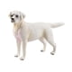 thumbnail image 2 of Modelos De Estatuillas De Perros Emulacionales Pintados A Mano Para Decoración De Fiestas Temáticas Labrador Blanco, 2 of 5