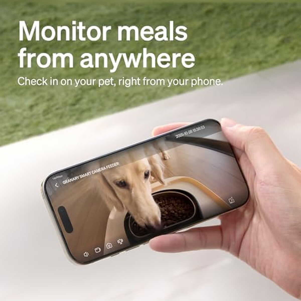 Comedero Automatico Petlibro Camara 1080p Wifi 5l Gatos