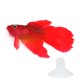 thumbnail image 1 of Adorno para acuario Besimple de pez Betta de silicona 8 cm, 1 of 6