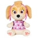thumbnail image 1 of Peluche Paw Patrol Skye 25 cm, 1 of 3