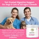thumbnail image 2 of Probiotics Wholistic Pet Organics Daily para gatos y perros, 227 ml, 2 of 9