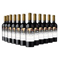 Tierra Del Fuego - Pack X12 Vino Cabernet Sauvignon Gran Reserva 13,5% 750Ml