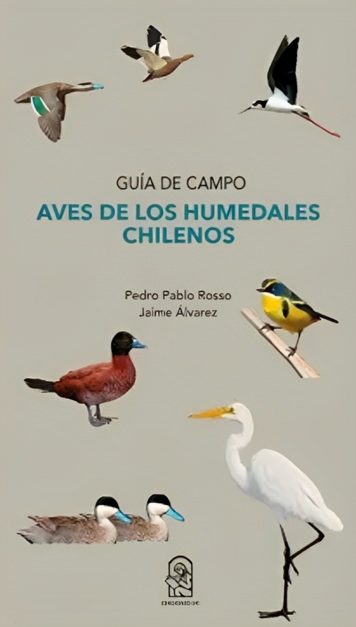 Ediciones Uc - Libro Aves De Los Humedales Chilenos 365