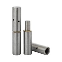 Pomel Pulido 7/8"" X 100Mm 2Un. - Lioi