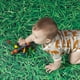 thumbnail image 5 of Toy Manhattan Toy Skwish Classic 6 para bebés de 0 meses o más, 5 of 9