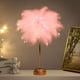 thumbnail image 1 of Lámpara de plumas BDUSXYZ LED de ambiente, luz nocturna rosa, 1 of 9