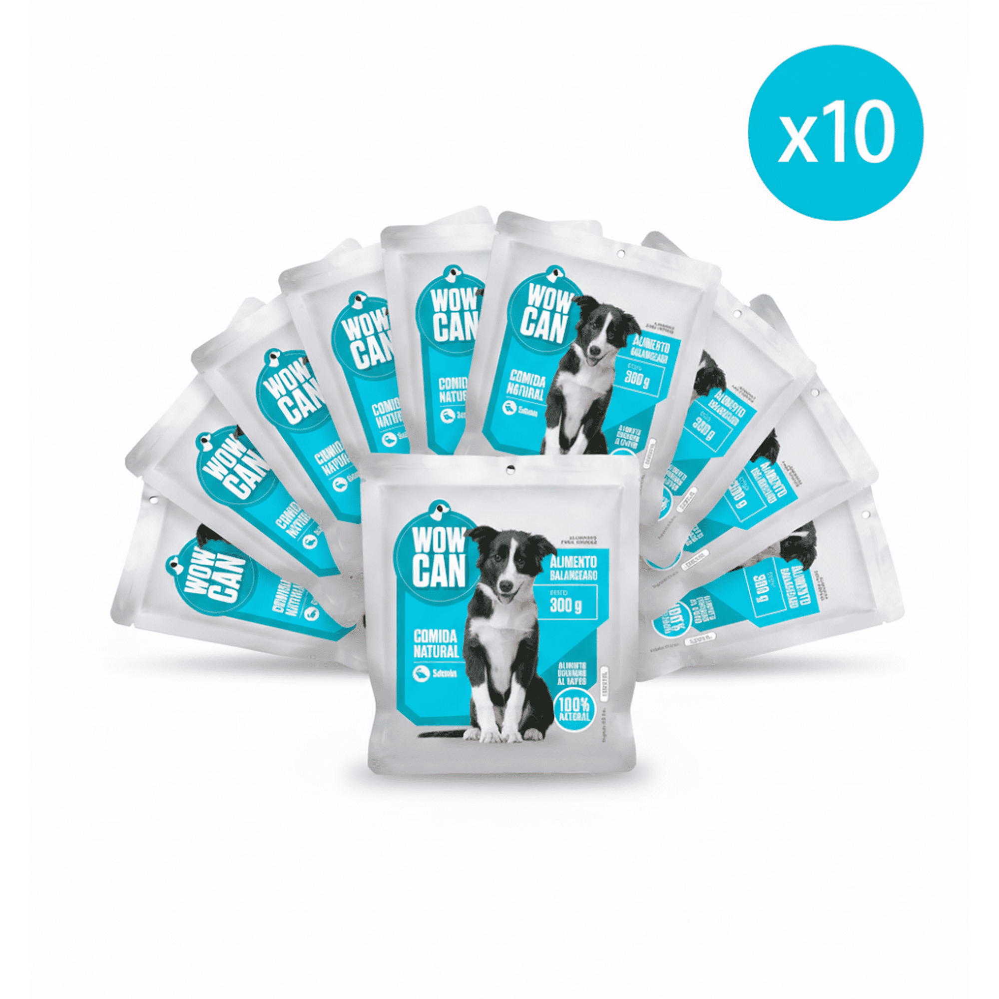 Pack X10 Salmón-pollo 300gr Wow Can