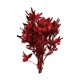 thumbnail image 4 of Ramo De Flores Secas Para Boda, Fiesta, Cocina, Planta, Tallo, Dodonaea Viscosa, Rojo, 4 of 5