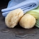 thumbnail image 4 of Set de 2 piezas de esponja Sea Silk Sponge Neptune Natural para limpieza facial, 4 of 6