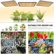 thumbnail image 5 of LED Grow Light SERWING E1 de 200 W de espectro completo para plantas de interior, 5 of 6