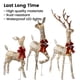 thumbnail image 3 of Set Decoración Exterior Dunchaty Renos Navideños LED 3 Piezas, 3 of 3