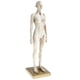 thumbnail image 2 of Modelo De Figura De Anatomía Femenina De 11 Pulgadas Referencia Anatómica Para Artistas - Blanco, 2 of 5