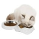 thumbnail image 2 of Plato Bajo Doble Catit Pixi para Gatos 2 x 200ml, 2 of 3