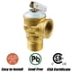 thumbnail image 4 of Kit de válvulas de servicio para calentadores de agua sin tanque Iococee 3/4 pulgadas IPS, 4 of 7
