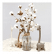 thumbnail image 2 of Algodón seco 10 tallos cotton blanco decorativos, 2 of 3