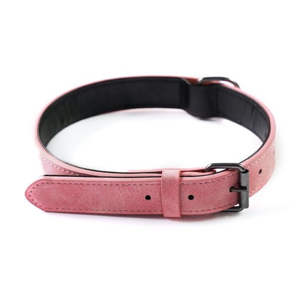 Collar para perros resistente, ajustable y resistente a la intemperie, cómodo y duradero para mascotas pequeñas.
