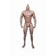 thumbnail image 1 of Muñeca corporal Action Figure Body Doll a escala 1/6 para hombre musculoso con 30 puntos, 1 of 8