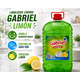 thumbnail image 3 of Lavalozas Líquido Gabriel Limón 5 L, 3 of 6