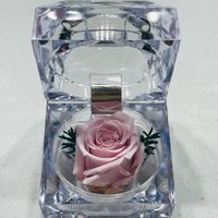 Allpa-Roseamor - Joyero Mini Con Rosa Preservada Natural Rosado