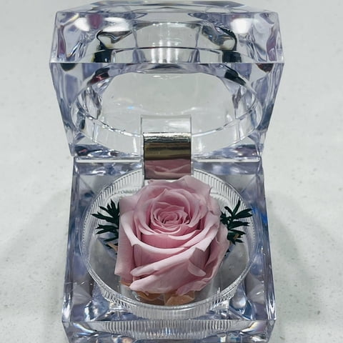 Allpa-Roseamor - Joyero Mini Con Rosa Preservada Natural Rosado