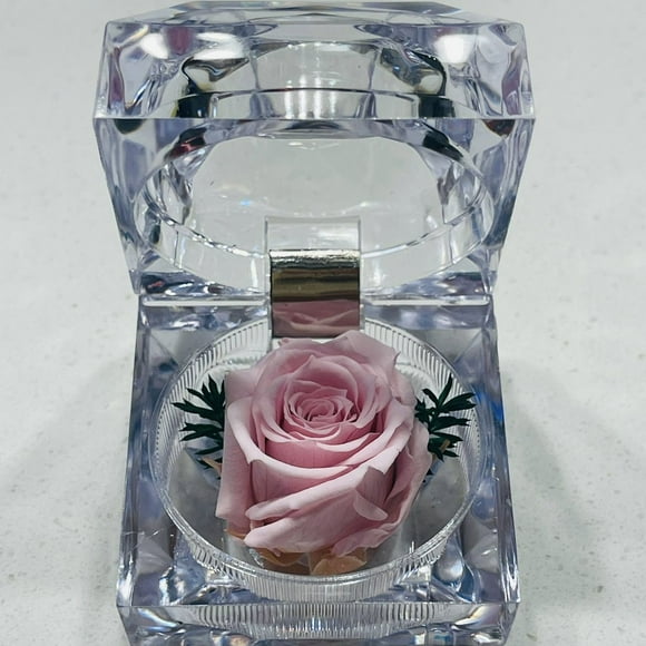 Joyero Mini Con Rosa Preservada Natural Rosado