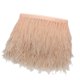 thumbnail image 3 of Avestruz Pluma Fringe Trim Disfraz Costura Artesanía Decoración 9-15cm Champán, 3 of 5