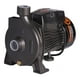 thumbnail image 1 of Bomba Superficie Centrífuga 0.5 HP CPM130B, 1 of 5