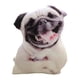 thumbnail image 3 of Cojín Para Perro, Almohada Para Regalo De Navidad, Decoración De Sofá, Accesorio De Juguete, Estilo A, 3 of 3
