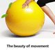 thumbnail image 4 of Pelota de ejercicios: pelota de estabilidad para el hogar, yoga, gimnasio, fisioterapia, suizo y fisioterapia., 4 of 5
