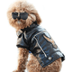 thumbnail image 4 of Abrigo de invierno para perro, chaqueta de motociclista de cuero sintético para perro, ropa para mascotas, chaqueta de cuero impermeable., 4 of 5