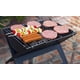 thumbnail image 5 of Parrilla BBQ plegable y portátil Fire Sense Notebook, barras de 3,5 mm, 5 of 9