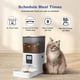 thumbnail image 2 of Comedero automático para gatos ANDOLL HOME 4L con grabadora de voz de 10 segundos, 2 of 9