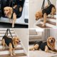 thumbnail image 2 of Arnés de elevación para perro INKNOTE XL con bolsillo de cuerpo completo, 2 of 7
