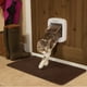 thumbnail image 3 of Puerta para Gato con Microchip PetSafe, 3 of 6