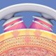thumbnail image 2 of Electric Pulse Neck Massager Cordless Intelligent Neck Massager With Heat 15 Levels Deep Tissue Trigger Point Massager, 2 of 3