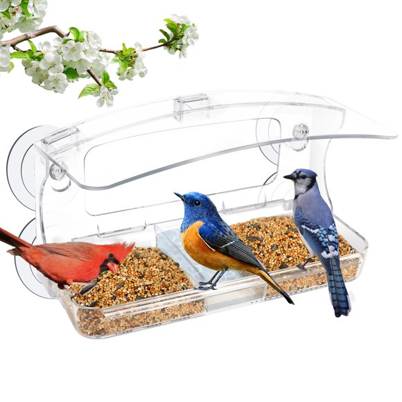 Alimentador de Aves Jarkyfine para Ventana con 4 Ventosas