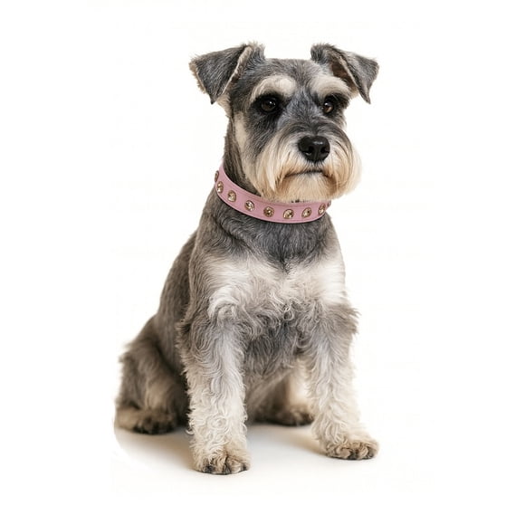 Collar para Perritas con Brillantes Grandes – M Rosado