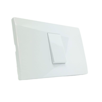 Interruptor Simple Embutido 10A Fenix 220V Plastico Blanco