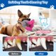 thumbnail image 5 of Juguete De Peluche Para Masticar Para Perros Grandes Con Chirriador Y Arrugas, 5 of 7