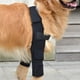 thumbnail image 2 of Coderas transpirables para perros, ideales para el soporte de codo y hombro canino, para higromas de codo, displasia, osteoartritis, callosidades en el codo y presión., 2 of 5