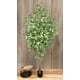 thumbnail image 3 of Planta Decorativa Arbol De Ginko 240cm, 3 of 3