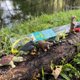 thumbnail image 2 of Figuritas Safari Ltd. Ecosistema Fluvial TOOB 4‑7,5 cm, 2 of 6