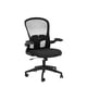 thumbnail image 4 of Silla de escritorio FelixKing ergonómica de malla lumbar ajustable, 4 of 8