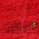 thumbnail image 4 of 1pc Extra Soft Heart Shaped Bath Mat - Absorbent and Non-Slip for Bathroom Floor, Sink, Bathtub, and Shower Room - Perfect Valentine's Day Bathroom Decor, 4 of 4