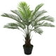 thumbnail image 1 of Planta Decorativa Palma Phoenix 90 Cms., 1 of 4