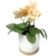 thumbnail image 4 of Primavera artificial, 4 of 8