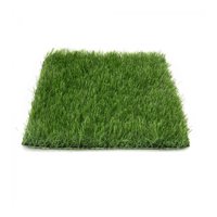 Signet - Pasto Sintetico 40Mm 2X5 Metros